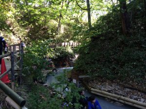 大湯沼川天然足湯